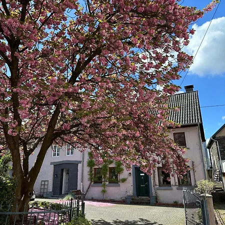 Appartement Moselruhe Brauneberg