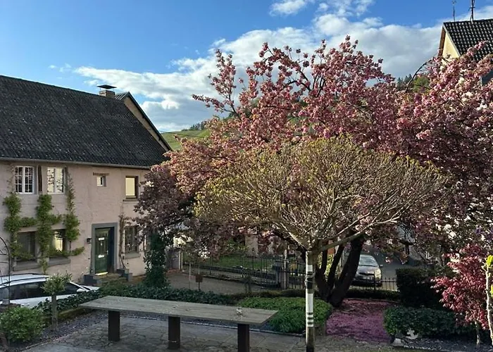 Moselruhe 브라운버그