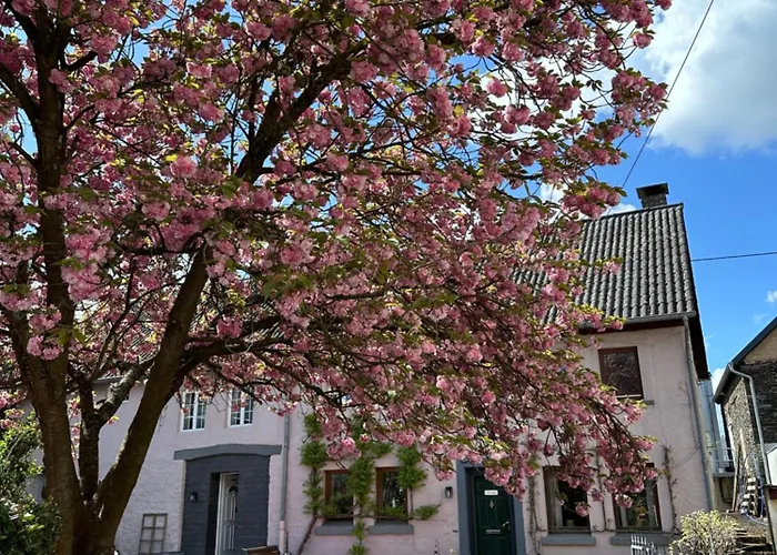 아파트 Moselruhe 브라운버그